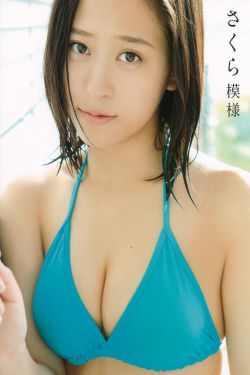 美利达