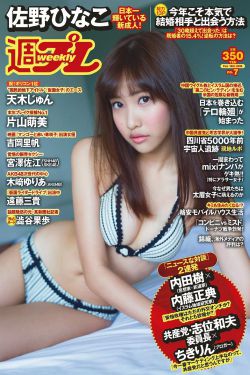 百年遗产电视剧